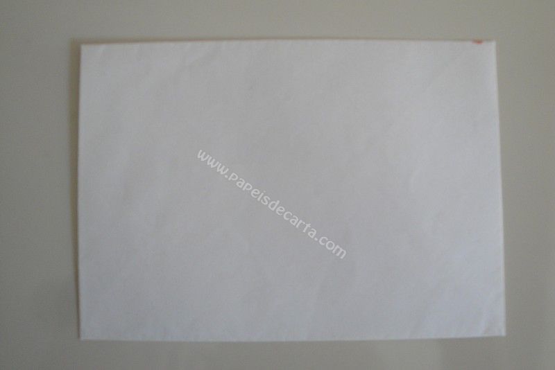 Verso do envelope