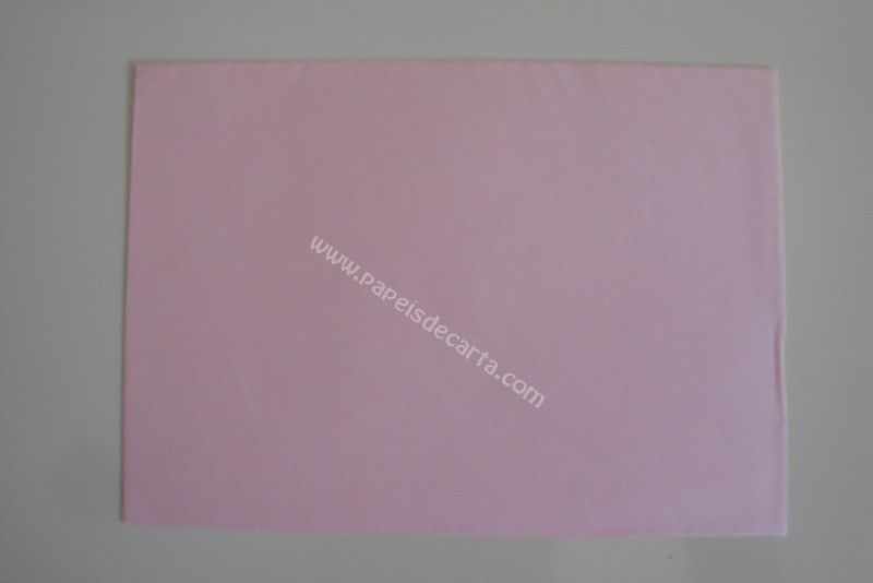 Verso do envelope