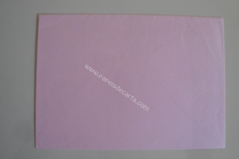 Verso do envelope