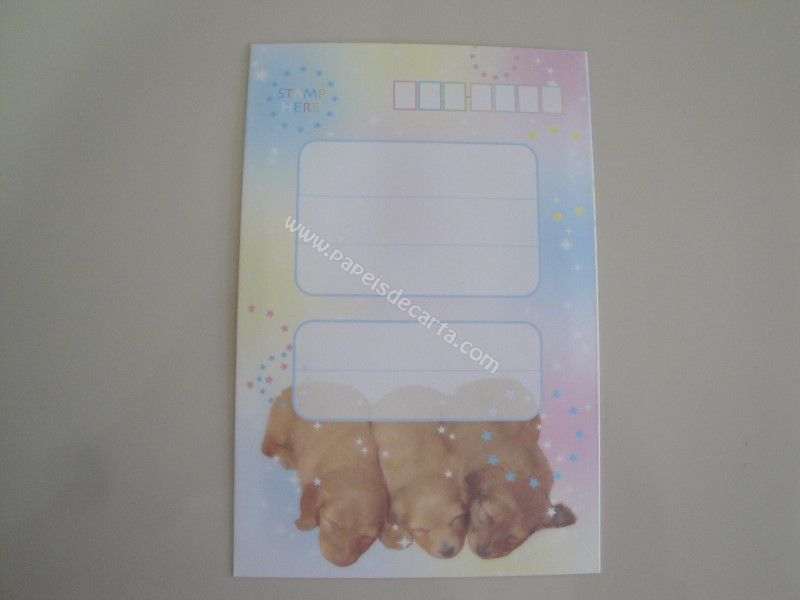 Verso do envelope