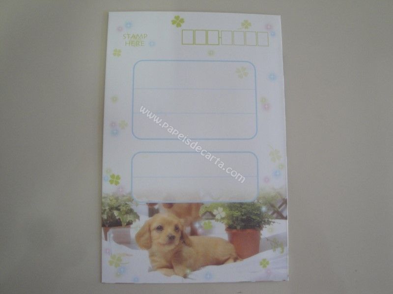 Verso do envelope