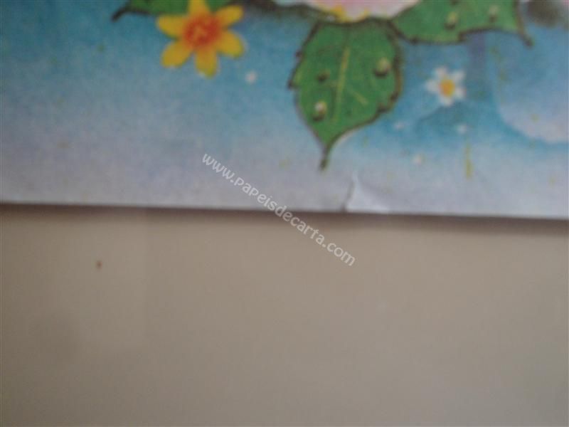 Detalhe do pequeno rasgo