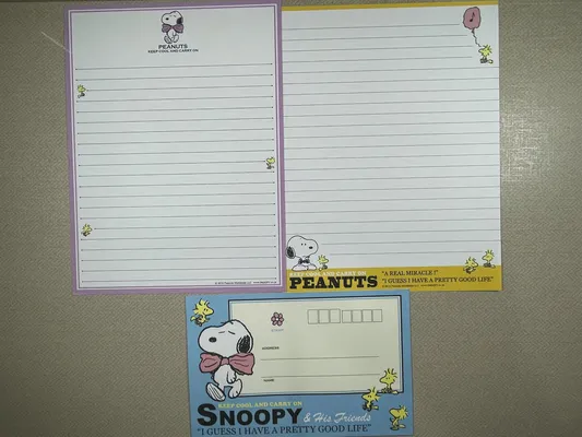 Conjunto do Snoopy 392