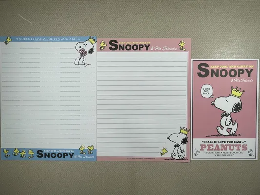Conjunto do Snoopy 393
