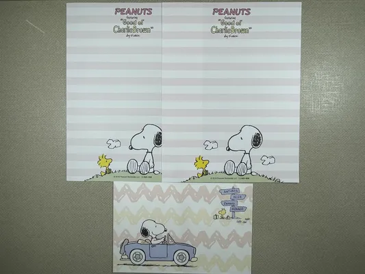 Conjunto do Snoopy 394