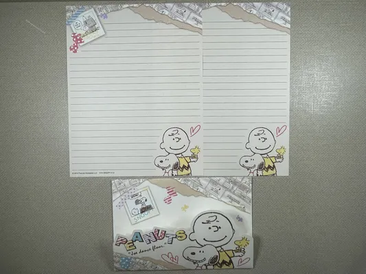 Conjunto do Snoopy 404