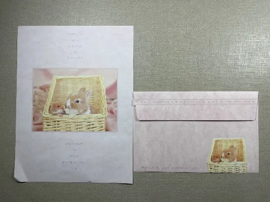 Conjunto de papel de carta importado - 90