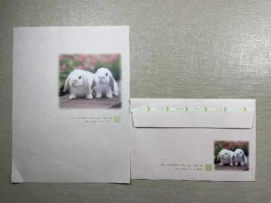 Conjunto de papel de carta importado - 91