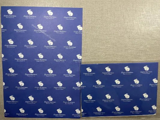 Conjunto de papel de carta importado - 101
