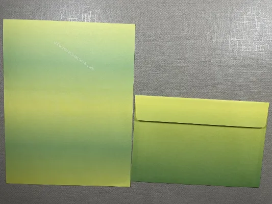 Conjunto de papel de carta importado - 103