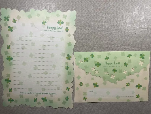 Conjunto de papel de carta importado - 132