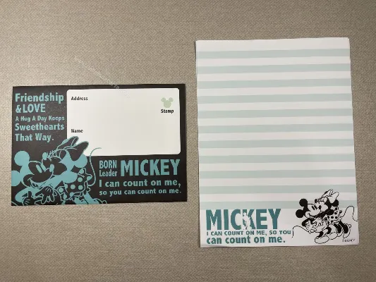 Conjunto do Mickey e da Minnie 24