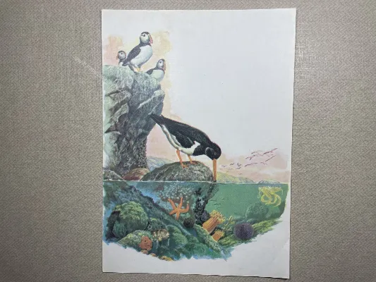 Papel de carta antigo - Bichinhos - 3615