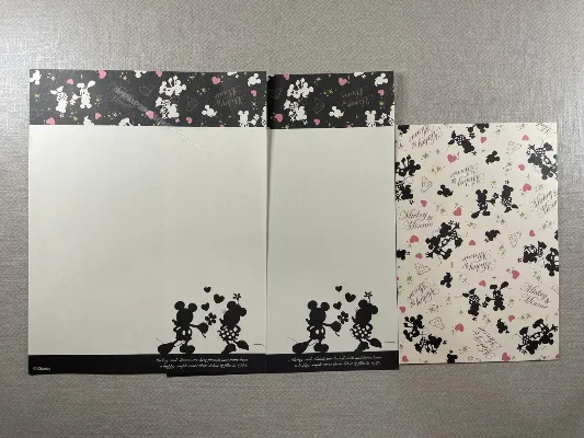 Conjunto do Mickey e da Minnie 28