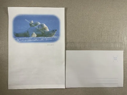 Conjunto de papel de carta importado - 198