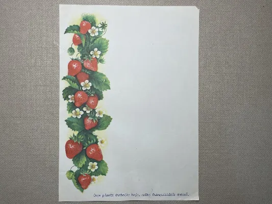 Papel de carta Paisagens - 432