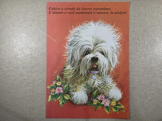 Papel de carta grande 803
