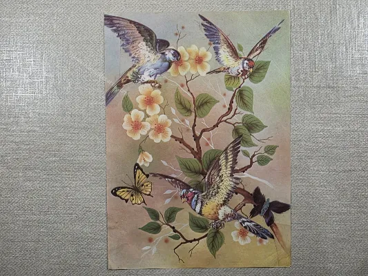 Papel de carta antigo - Bichinhos - 4124