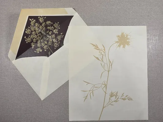 Conjunto de papel de carta antigo - 1070