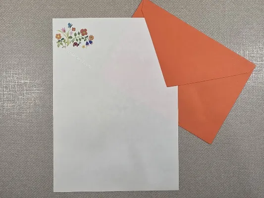Conjunto de papel de carta antigo - 1101