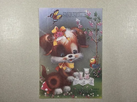 Papel de carta médio Sorria - 160